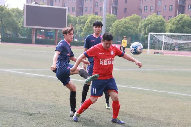 欧洲杯-魔笛破门扎卡尼绝平 意大利平格子军出线